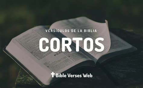 61 Versículos Bíblicos Cortos Textos Bíblicos