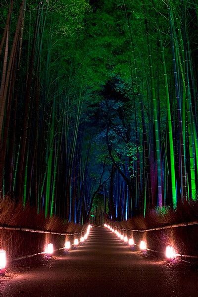 Amaze7 Sagano Bamboo Forest In Arashiyama Japan