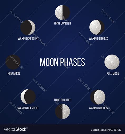 Phases Moon Royalty Free Vector Image Vectorstock
