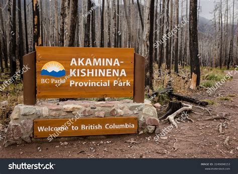14 Akamina Kishinena Provincial Park Images Stock Photos And Vectors