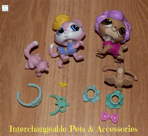 Creative Play With The Littlest Pet Shop Toyssets Littlestpetshop