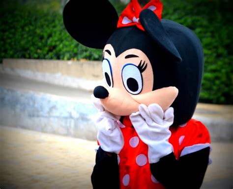 Minnie Mouse A Free Stock Photo Public Domain Pictures