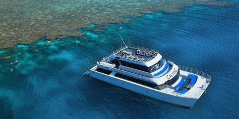 Fabulous Snorkelling Or Diving Day Trip On The Great Barrier Reef