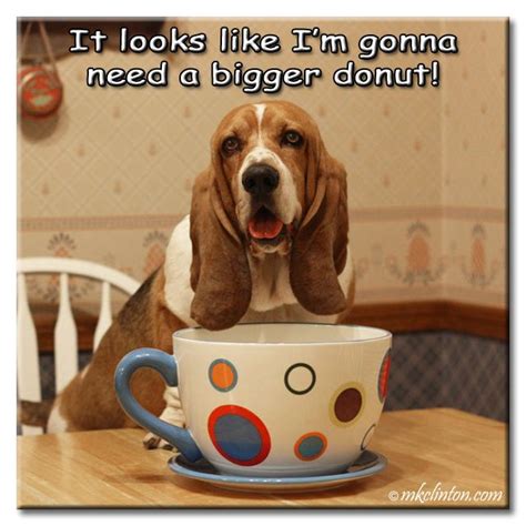 Marvelous Memes Coffee Hound Basset Hound Funny Coffee Fanatic