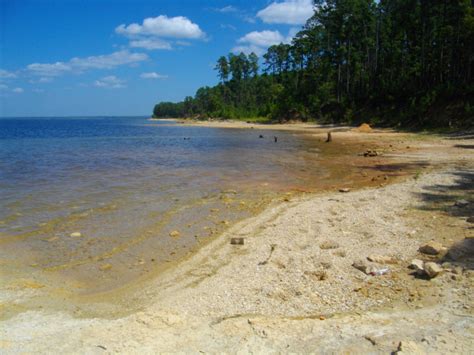 It doesn't get better than that. Lake Sam Rayburn in Pictures: Southside Sam Rayburn Beaches