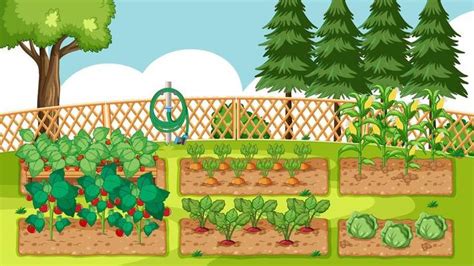 Garden Vector Art Icons And Graphics For Free Download
