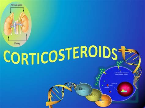Ppt Corticosteroids Powerpoint Presentation Free Download Id2225467
