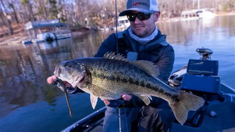 Best Lures For Spotted Bass Rivers And Herring Lakes Wired2fish