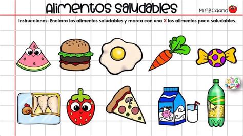 Pin De Marisol Duran En Plato Del Bien Comer Alimentos Preescolar Actividades Escolares