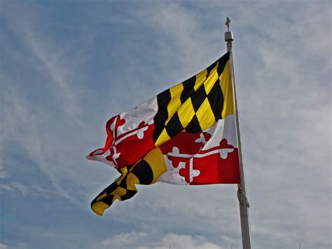 The Schumin Web Maryland Flag