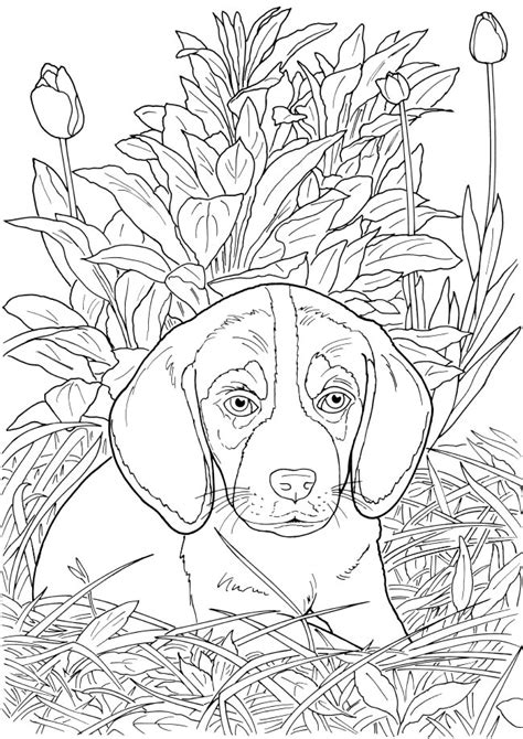 Welcome To Dover Publications Dog Coloring Book Dog Coloring Page