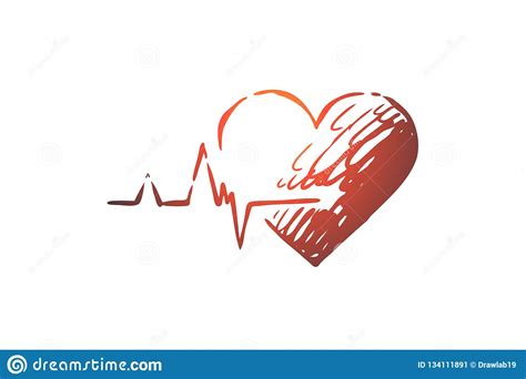 Health Heart Care Heartbeat Cardiogram Concept Hand Drawn Isolated