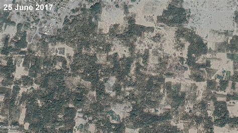 Yemens Disappearing Date Palms Applied Environmental Osint Bellingcat