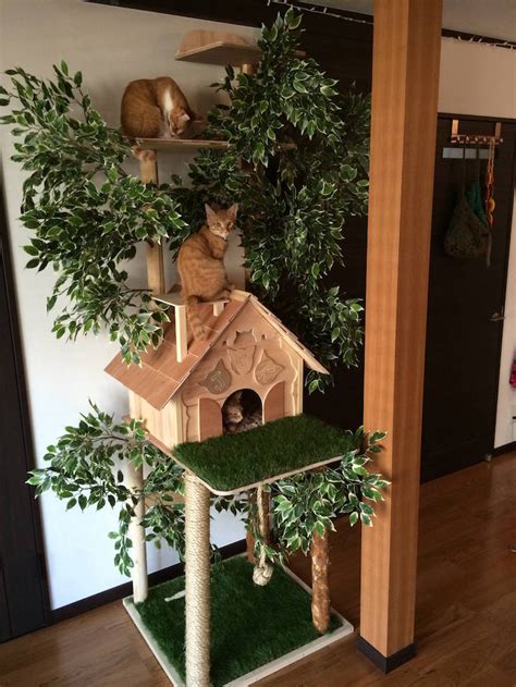 Sculptured trees are hollow with shelves inside the tree trunk, so your cats can climb up to the large. DIY Cat Tree Offers Alternative to Conventional Scratching ...