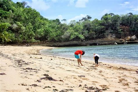 33 tempat wisata di blitar terbaru & lagi hits dikunjungi. Pantai Ngliyep - Malang Selatan - Wesata.ID | Wisata Indonesia
