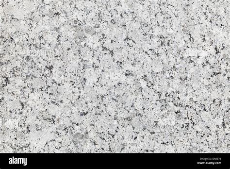 Pieton Frunze Interconnect Granite Stone Texture Convoca Pătrat Splendid