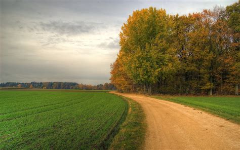 1920x1080 Resolution Green Leafed Tree Landscape Trees Field Road