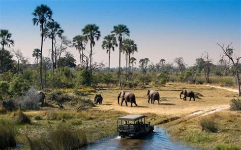 Best Time To Visit Botswana Chile Travel Guide