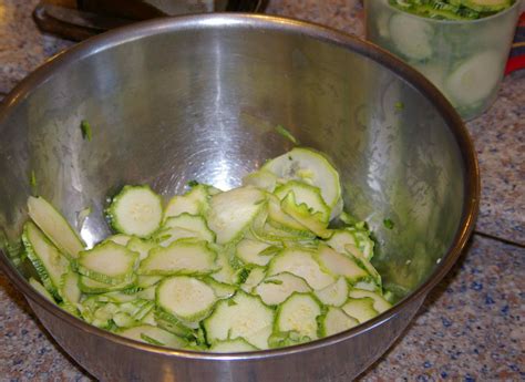 This variety of bristlenose pleco differs from the common pleco in terms of form. Blanch Zucchini Before Dehydrating | White Gold