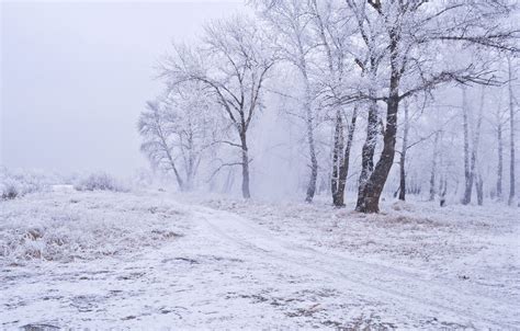 Snow Blizzard Wallpapers Top Free Snow Blizzard Backgrounds