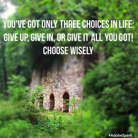 You Have 3 Choices In Life Choose Wisely Choose Wisely Chosen