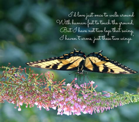 Yesterday A Butterfly Grateful Prayer Thankful Heart