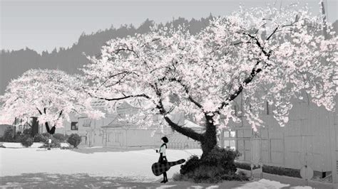 Anime Cherry Blossom Desktop Wallpaper Pixelstalk Net