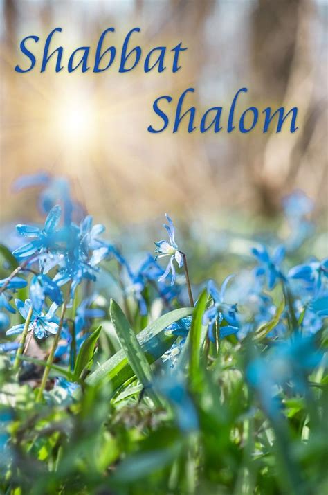 Pin By Beverly Maxwell On I Love Israel Shabbat Shalom Shabbat Shalom Images Shalom