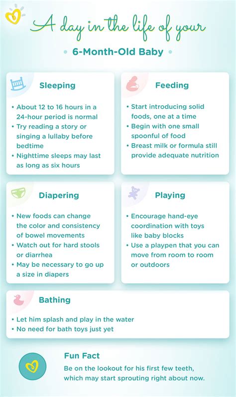 6 Month Old Baby Milestones Weight And Feeding Pampers In 2020 6