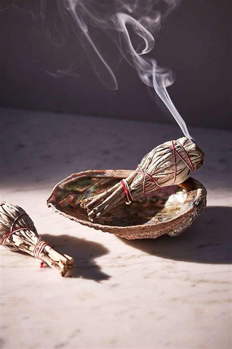 Incense, incense sticks, dhoop, cones, nag champa, nag champa soap, perfume oils, masala incense, agarbatti, hand rolled, frankincense, myrrh, chemical free pure bamboo charcoal. Tamed Wild Apothecary White Sage Incense Kit | Incense ...