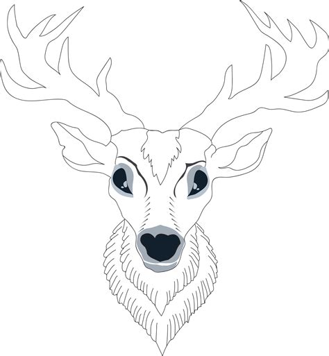 Deer Skull Vector Illustration 23548707 Vector Art At Vecteezy