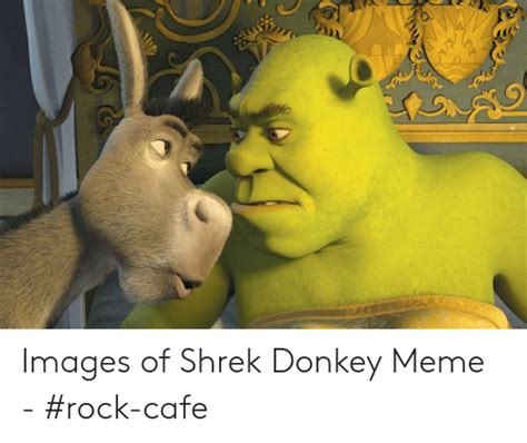 25 Best Memes About Images Of Shrek Images Of Shrek Memes