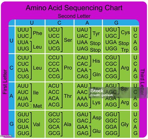 Amino Acid Sequence Chart Stock Illustration Download Image Now Amino Acid Chart