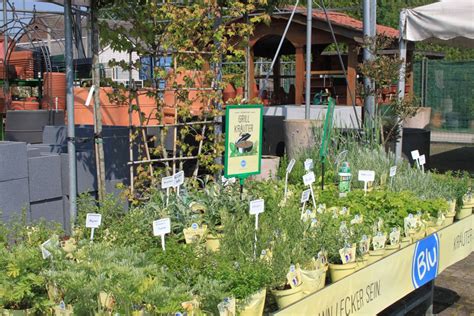 Ihr team von garten fockenberg. Bildergalerie Garten & Freizeit | Garten Fockenberg