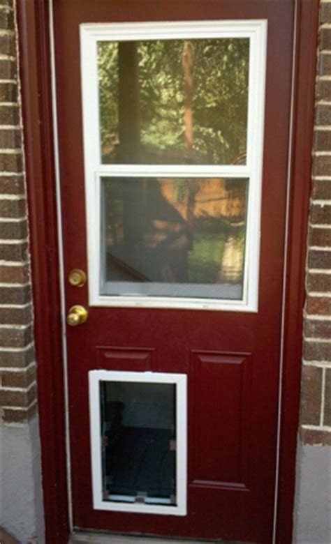 The maxseal in the glass model pet door is. Dog and Cat Door Installation