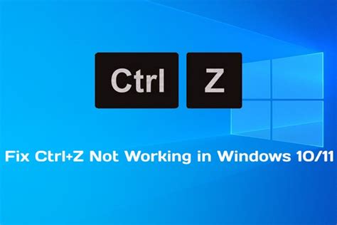 Ctrlz Not Working In Windows 1110 How To Fix It