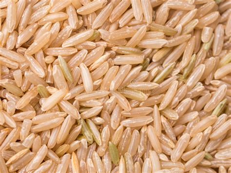 Brown Rice Stock Image Image Of Long Rice Bunch Eating 35207701