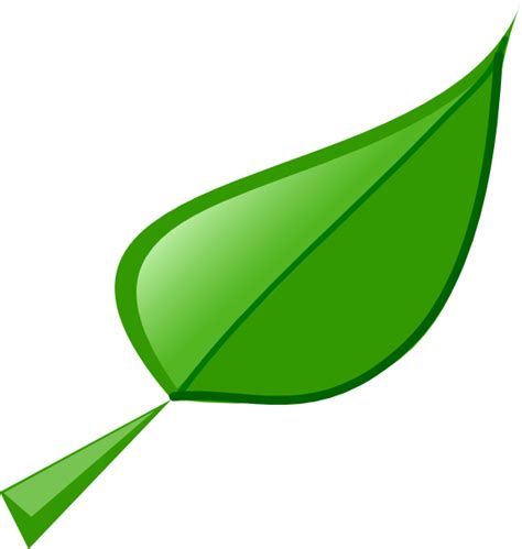 Leaf clip art Free Vector / 4Vector