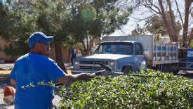 804 spruce ave, las cruces, nm 88001, usa adresas. Hedgehogs Landscaping and Maintenance Service in Las ...