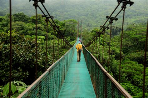 Costa Ricas Sky Walk Offers Visitors A 36km Trail System Through