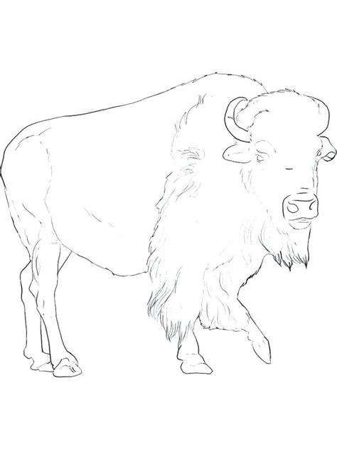 The coloring image is also very easy. Buffalo Sabres Coloring Pages. Buffalo is a cattle mammal ...