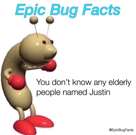Epic Bug Facts Rcoolbugfacts