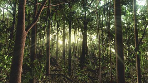Brentdmckee Visualising Angkor Jungle Landscape Design
