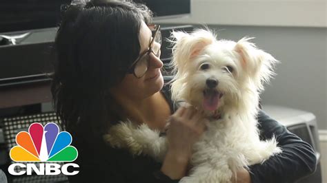 Request the 'puppies' option in your app. Uber Delivers 'Puppies on Demand' | CNBC - YouTube