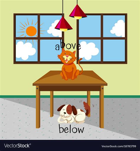 Opposite Words For Above And Below With Cat And Vector Image