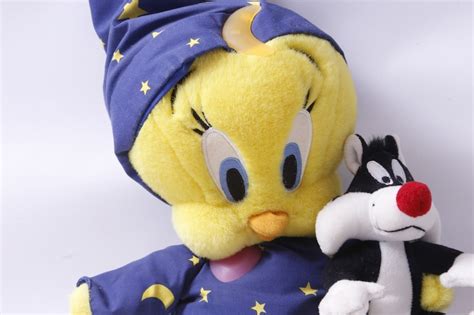 Looney Tunes Tweety Bird Wizard Outfit Sebastian Cat Etsy