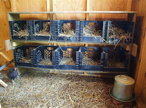 Chicken Nesting Boxes Ideas The First Step Was To Build A Frame To