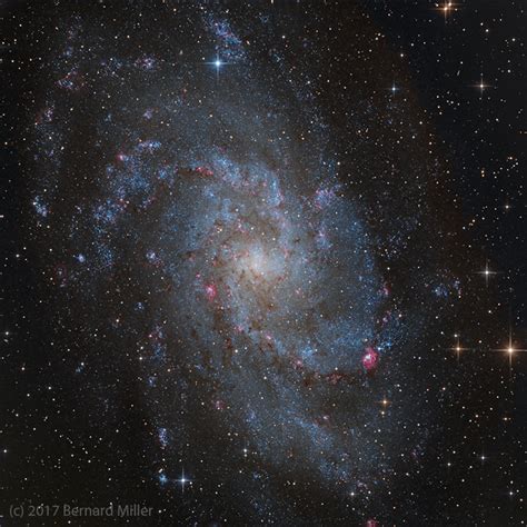 The Pinwheel Galaxy M33 Astronomy Magazine Interactive Star