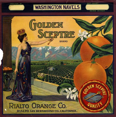 Crate Label Golden Sceptre Brand Washington Navels Rialto Orange