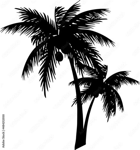 Coconut Tree Silhouettes Coconut Tree Svg Eps Png Stock Vector Adobe